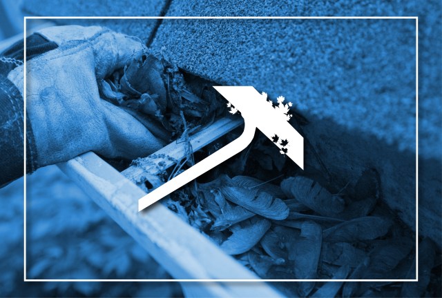 Service - Gutter Cleaning